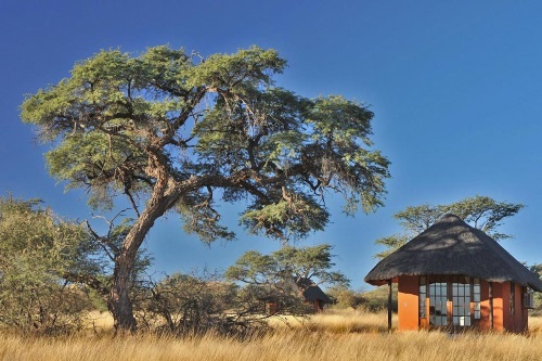 Camelthorn Kalahari Lodge rondavel